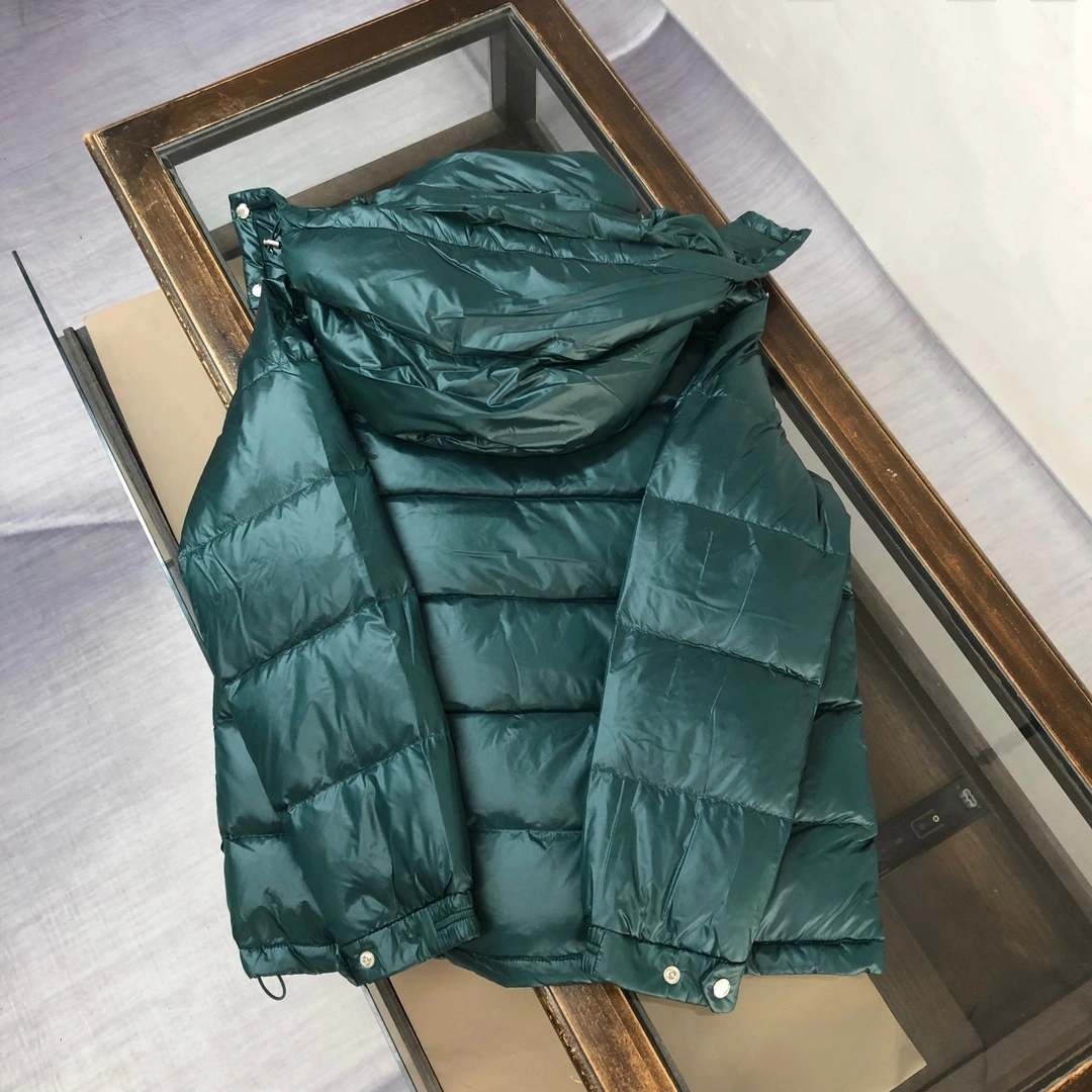 wg.luxury- 7o9385r down jacket 90cloth with soft nap 2Colour item:D-F443J2508-2